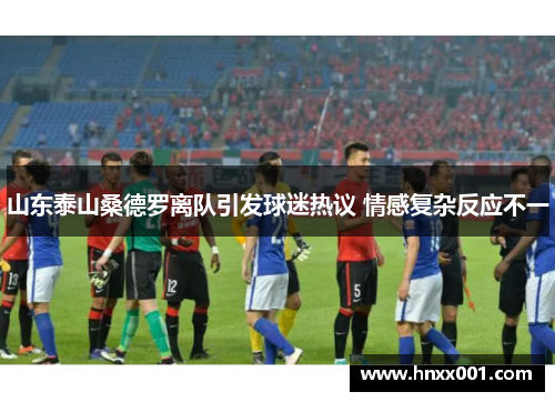 山东泰山桑德罗离队引发球迷热议 情感复杂反应不一