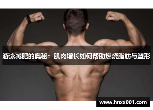 游泳减肥的奥秘：肌肉增长如何帮助燃烧脂肪与塑形